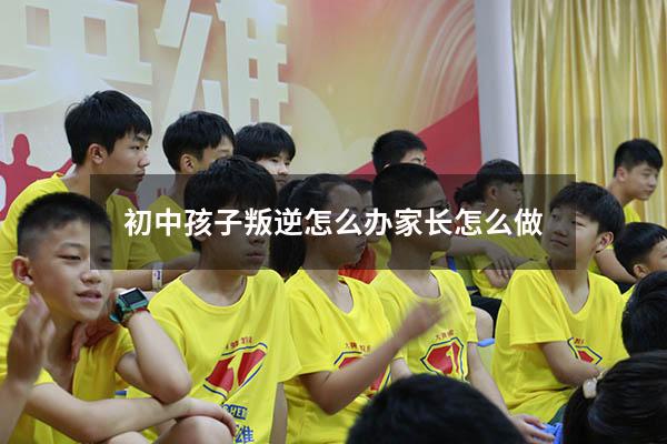 初中孩子叛逆怎么办 家长怎么做